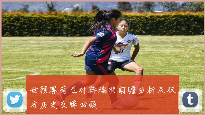 世预赛荷兰对阵瑞典前瞻分析及双方历史交锋回顾