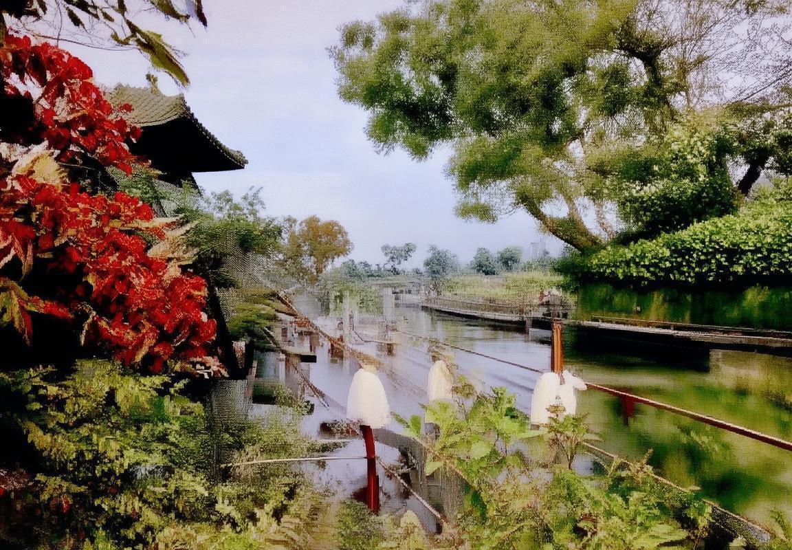 广东队VS深圳队对决回顾：战术对决与精彩瞬间分析